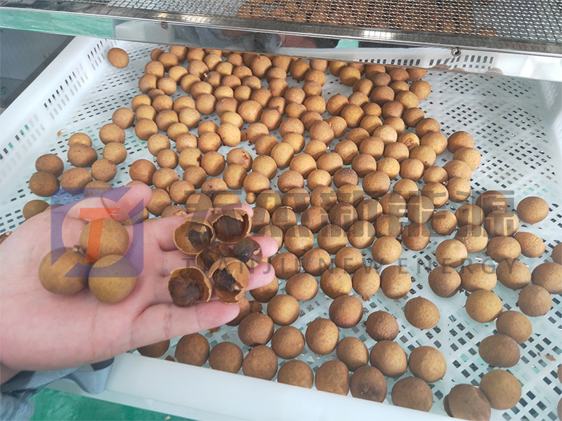 天杰新能源?；葜蔟堁酆娓蓹C開機大吉